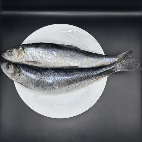 UNO FISH WHOLE (NORWEGIAN HERRING)