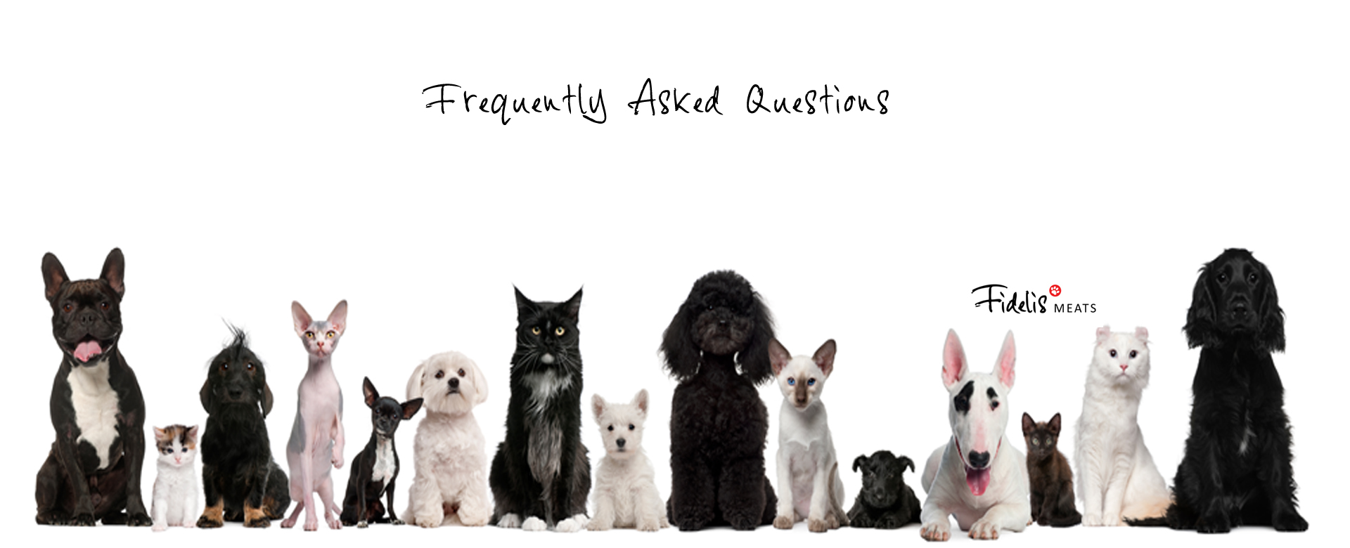 Frequently Ask Questions About Our Pet Foods
